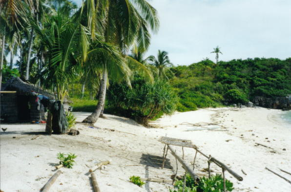 Beach_lonely