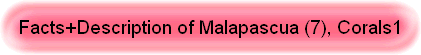 Facts+Description of Malapascua (7), Corals1